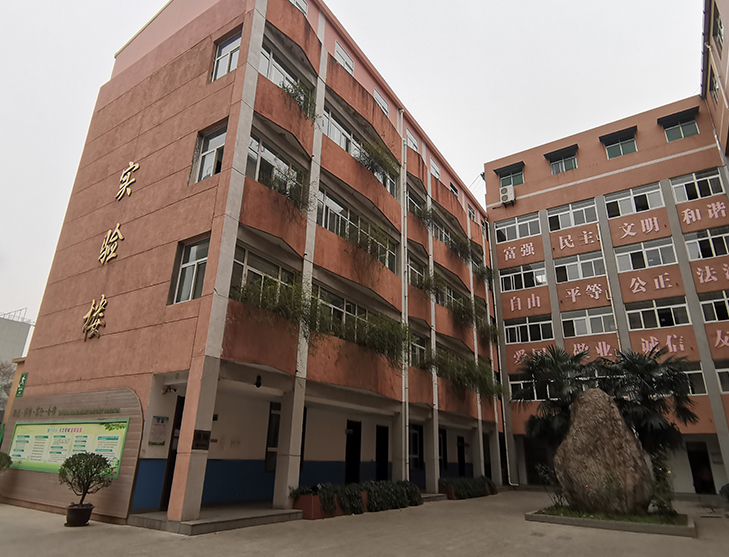 еЌW(xu)(sh)(yn)Ǽӽӷݰȫԙzy(c)