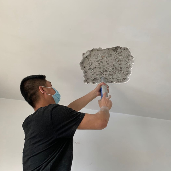 Ļ���z�y���̙z�y�Ŀ������Щ